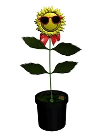 200w.webp