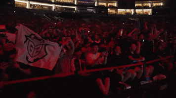 Cheers Flag GIF by G2 Esports