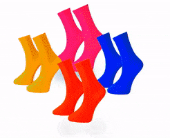 RoiSocks GIF