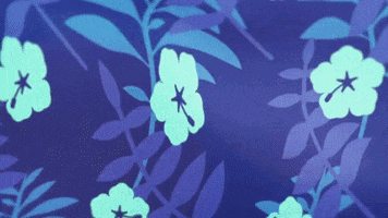 Ddk GIF