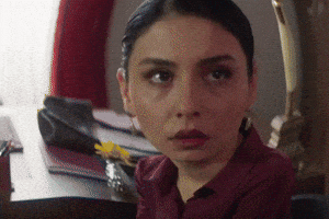 Rojbinerden GIF