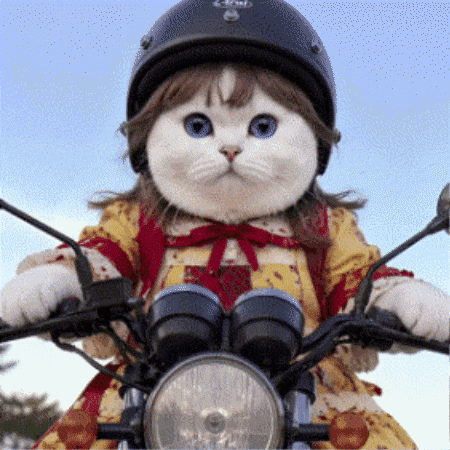 Good Morning Smile GIF