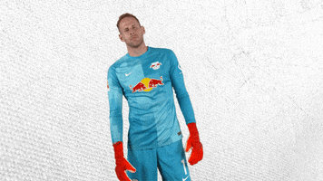 Save The Wall GIF by RB Leipzig