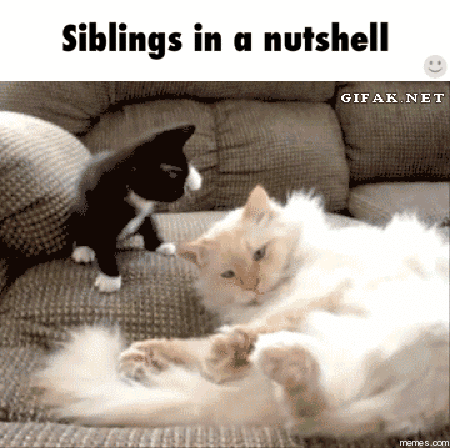 Big Brother Siblings GIF