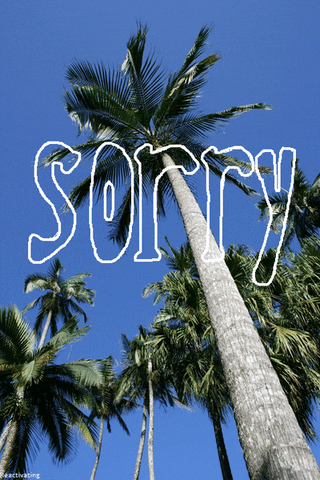 sorry home video GIF
