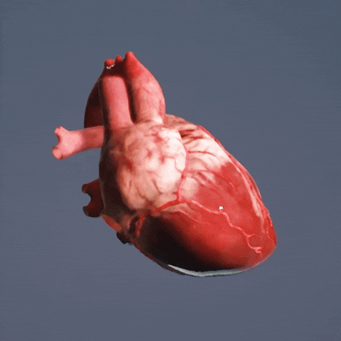3d te amo heart GIF on GIFER - by Anaraginn
