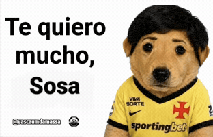 Vascojogador GIF