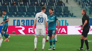 Football Conflict GIF by FC Dynamo Moscow
