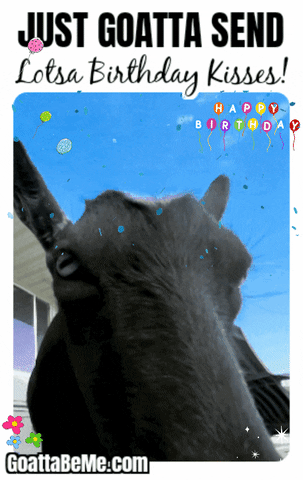 Happy Birthday Goats GIF by Goatta Be Me Goats! Adventures of Pumpkin, Cookie and Java!