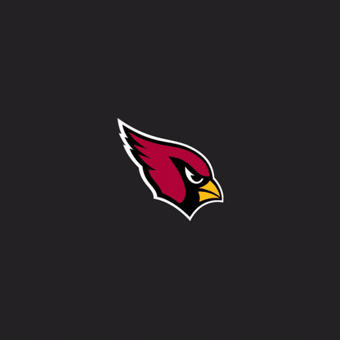 Kenyan Drake GIF by Arizona Cardinals