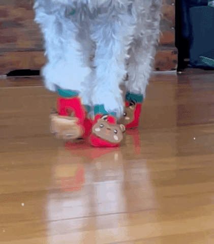 Happy Feet Christmas GIF by Pluto Living