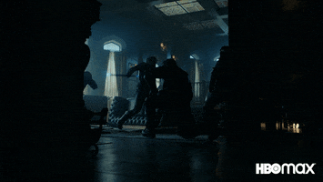 Dick Grayson Fight GIF by HBO Max