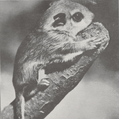 Solitude Waiting GIF