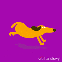 Bank Running Animation GIF by Citi Handlowy