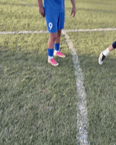 Aliyev GIF