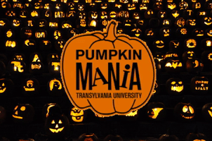 pumpkin kentucky GIF by Transylvania University