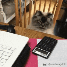 giphy.gif?cid=3640f6095c7d983f774a6458638a01fd