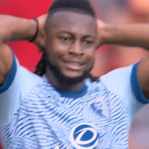 Frustrated Football GIF by AFC Bournemouth