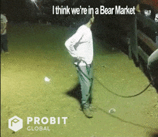 Bear Invest GIF by ProBit Exchange