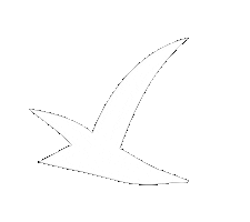 Mouette Sticker by Saint Benoît