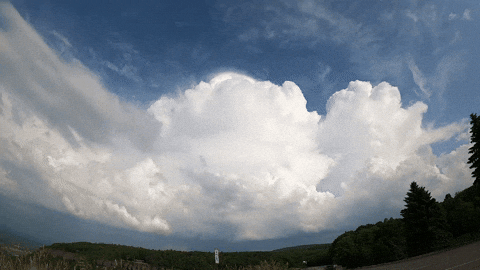 giphy.gif?cid=9b38fe914j8ubih61v3y67cp7z