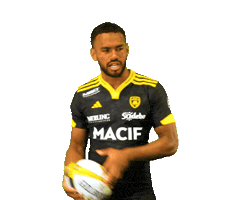 Rugby Sticker by Stade Rochelais