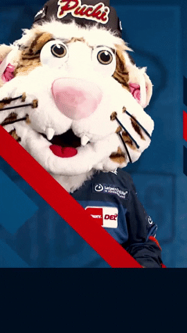 Nürnberg Ice Tigers GIF