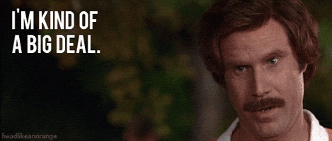Anchorman Anchorman Gif animated GIF