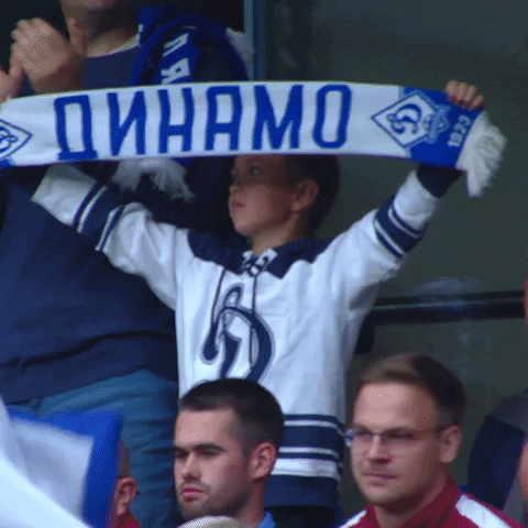 Football Sport GIF by FC Dynamo Moscow