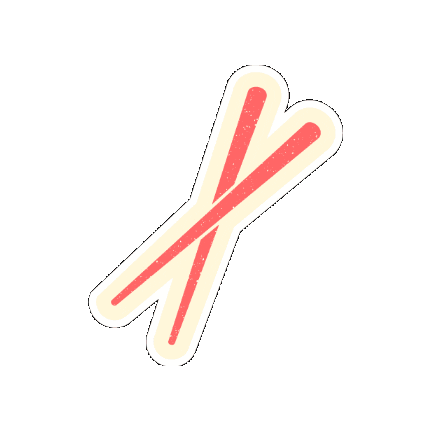 The Hunger Project Sticker