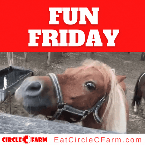 Friday Joking GIF by Circle C Farms