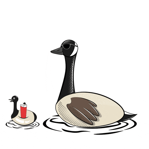 The Goose Fun GIF by Bare Tree Media