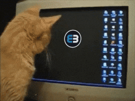 giphy.gif