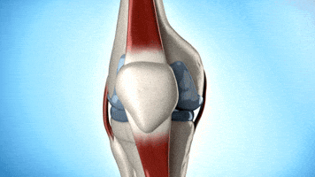 Health GIF by Just Healthy