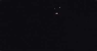 Fox Haynes GIF