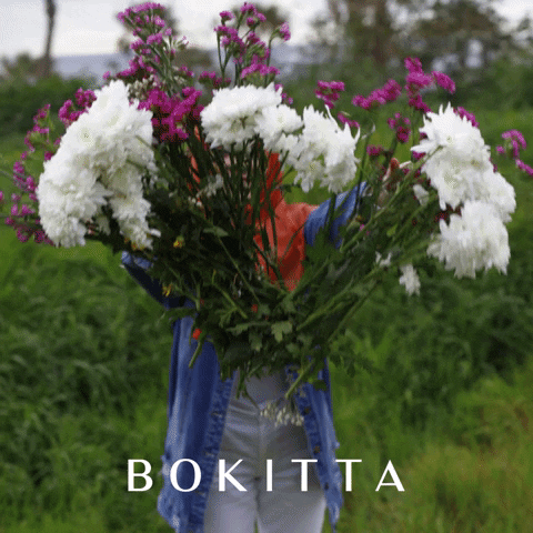 Flowers Spring GIF by Bokitta