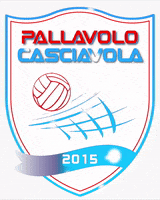 Volley GIF by Pallavolo Casciavola
