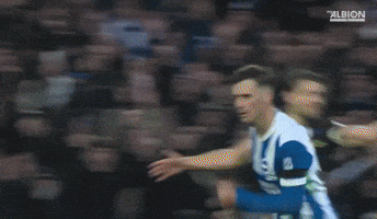 Football Brighton GIF