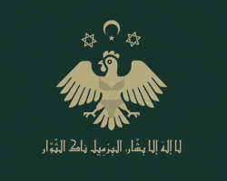 Dajaja GIF by Vitrin clinic