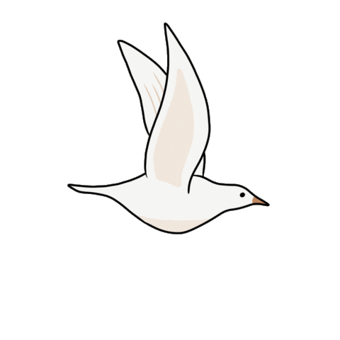 Dove Sticker