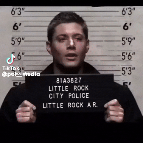Police Jail GIF
