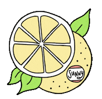 Grapefruit Sticker by Go Little Tokyo