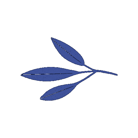 Rama Sticker by Gnomo