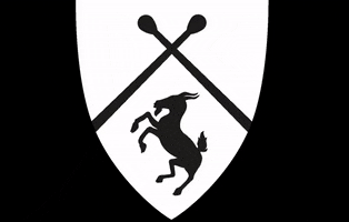 TamburiMedioevali arms shield medieval historical GIF