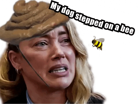 Dog Stepped On A Bee GIF