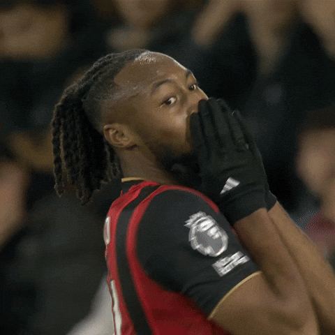 Premier League Football GIF by AFC Bournemouth