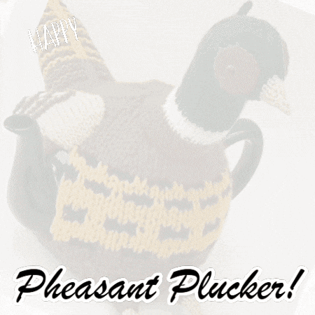 Happy Birthday Bird GIF by TeaCosyFolk