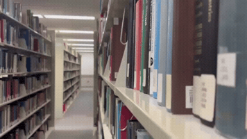 Nationnchat GIF