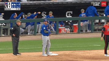 Celebrate Chicago Cubs GIF