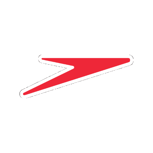 Boomerang Piscina Sticker by Speedo Multisport